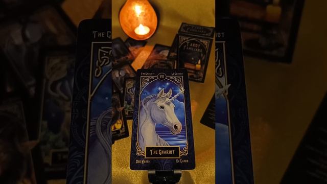 7 КОЛЕСНИЦА обзор и значение карт Таро Liza Parker "Taro Familiars", Старший Аркан "The Chariot" смотреть онлайн
