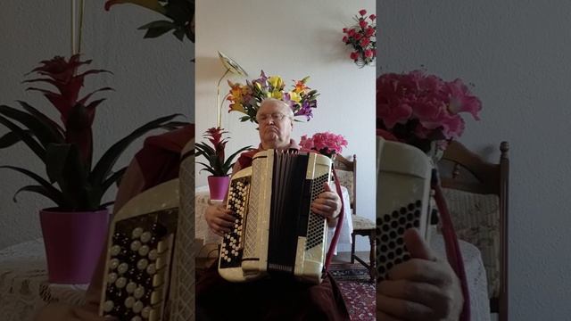 Сорвала цветок полевой. смотреть онлайн