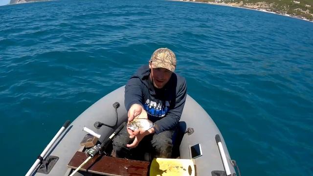 РЫБАЛКА!!! 3 ГОРБЫЛЯ ЗА ОДНО УТРО!!! СЕКРЕТНОЕ МЕСТО ГДЕ ЖИВЕТ ГОРБЫЛЬ!!! смотреть онлайн