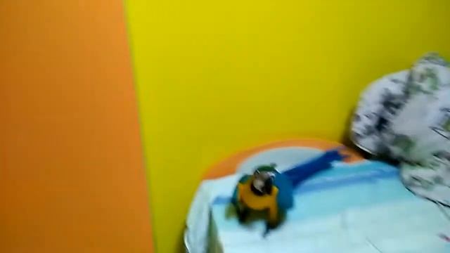 Большой попугай ара Ливси летает