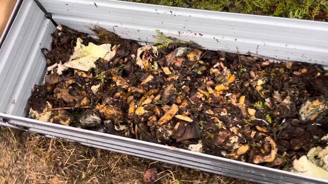 Металлические грядки. Оцинкованные грядки.Чем заполнить? смотреть онлайн