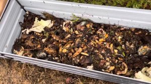 Металлические грядки. Оцинкованные грядки.Чем заполнить?