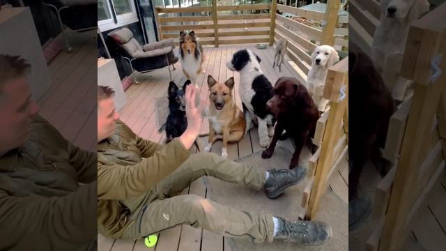 ...?♀️????..."Хвостики" в недоумении...)) смотреть онлайн