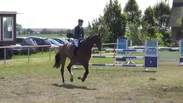Quinn смотреть онлайн