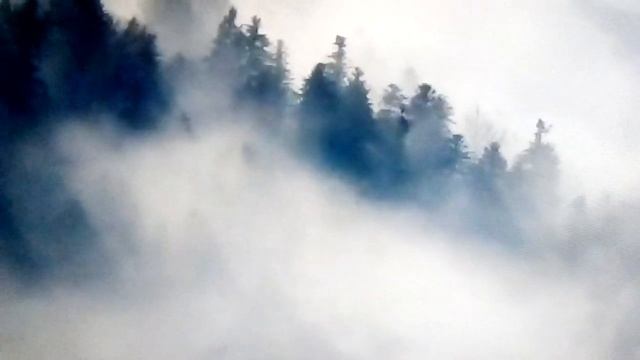 Стихотворение"Туман".... смотреть онлайн