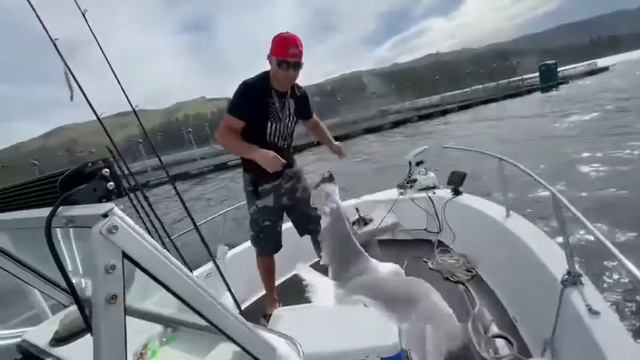 Поймал Чайку вместо рыбки смотреть онлайн