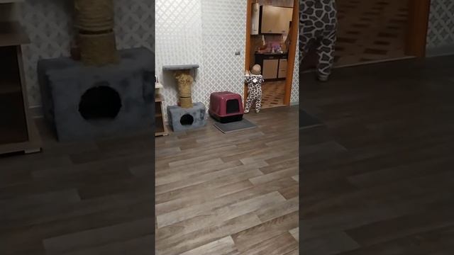 Малыш научился включать свет💡Умения растут👆 малышу 1 годик и 1 месяц смотреть онлайн