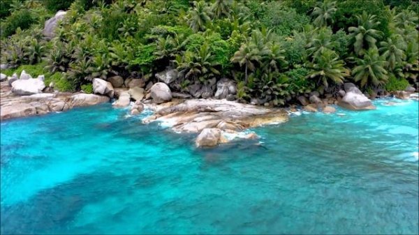 🌴Ocean Ambience on a Tropical Beach with Relaxing Ocean Waves Calming and Soothing🌴