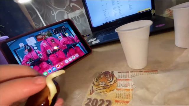 МОЁ ГРАНАТОВОЕ ДЕРЕВО И КАШТАНЫ 🌰. смотреть онлайн