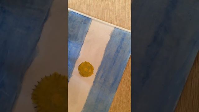 Как сделать мини-Аргентинский флаг смотреть онлайн