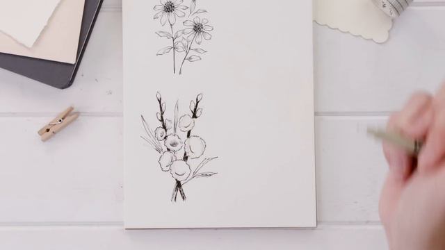 How To Draw Summer Flowers | Chrysanthemum, Gladiolus смотреть онлайн