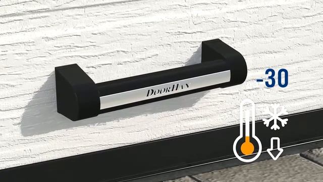 Ворота гаражные Doorhan RSD01, RSD02 в Донецке смотреть онлайн