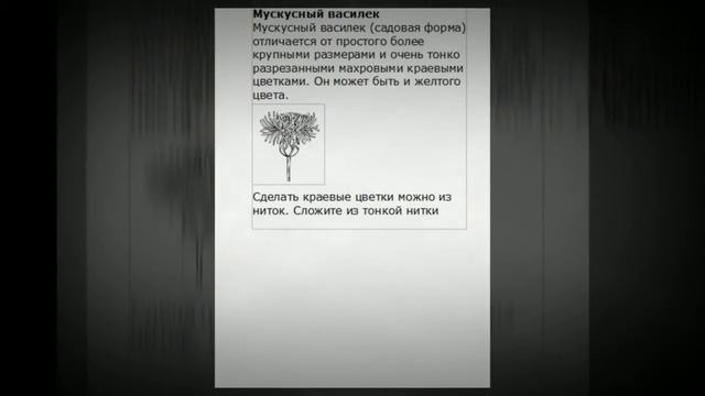 Канзаши. Как сделать мускусный василек смотреть онлайн