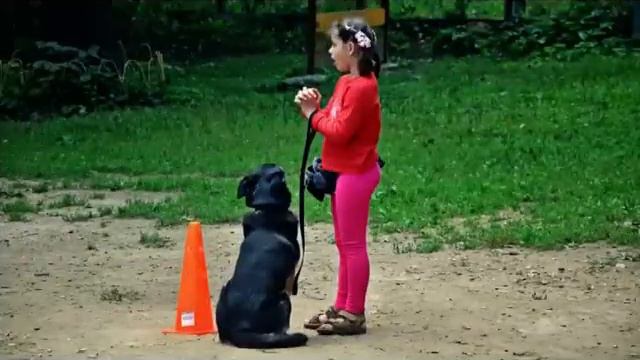ЗЦ смотреть онлайн