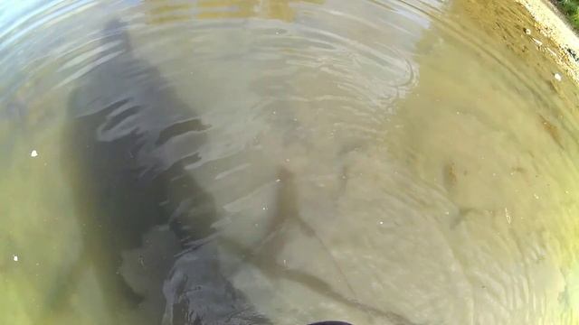 подводный коп с мд смотреть онлайн