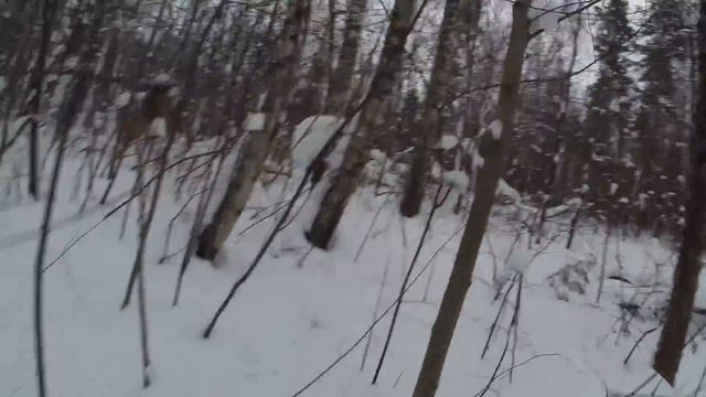 Норная охота. Ягдтерьер Amira Gegen Alle смотреть онлайн