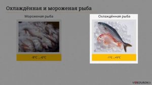 Рыба и морепродукты.