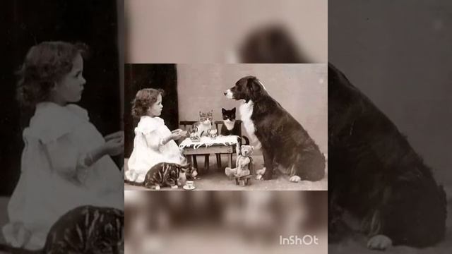 Оденьте женщину в любовь. смотреть онлайн