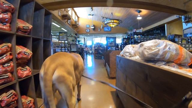 Cash 2.0 Great Dane at Bass Pro Shops 3 смотреть онлайн