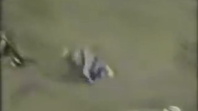 Подборка видео приколов с мотоциклами видео смотреть онлайн