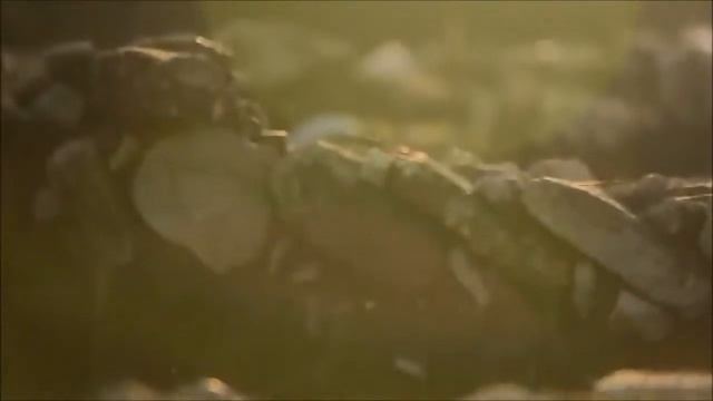 Белинская археологическая экспедиция: раскрываем загадки древних цивилизаций