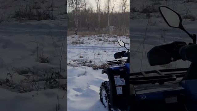 квадроцикл в лесу 3 часть смотреть онлайн