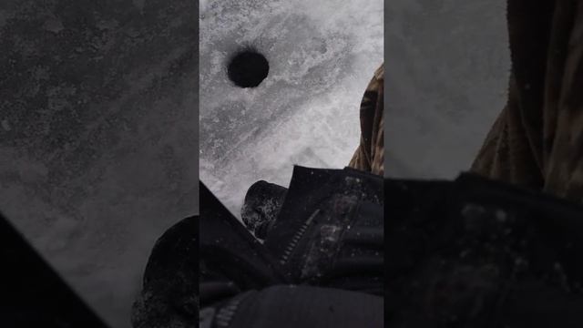 Рыбалка на Братском водохранилище. 19.01.2022 смотреть онлайн