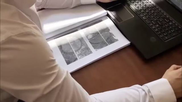 В Тюменской области задержали подозреваемого в незаконной рубке леса смотреть онлайн