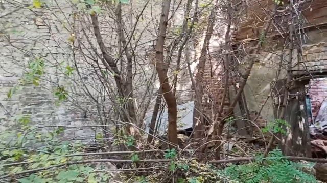 По дороге за хлебушком.Уходящий Саратов.Развалины на ул.Пушкина.Рассказывает С.Уткин. смотреть онлайн