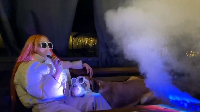 Сенбернар Игрушка тусит с хозяйкой 😎👌🐶 смотреть онлайн