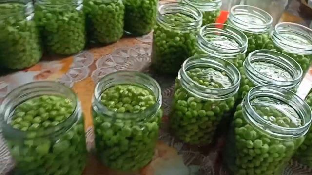 Зелёный горошек - 2. Отработаная схема. смотреть онлайн