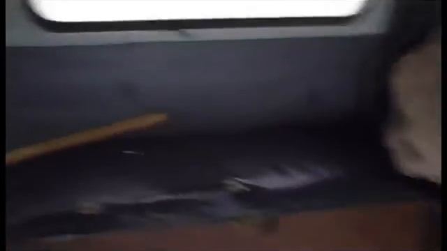 Нелегальные охотники в Мещере смотреть онлайн