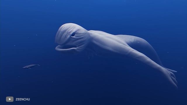 Самое Гигантское Существо в Океане за Всю Историю смотреть онлайн