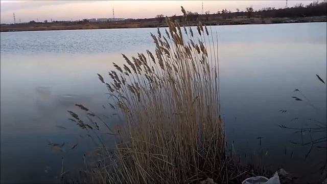 Караганда. Озёра Дальнего парка. смотреть онлайн