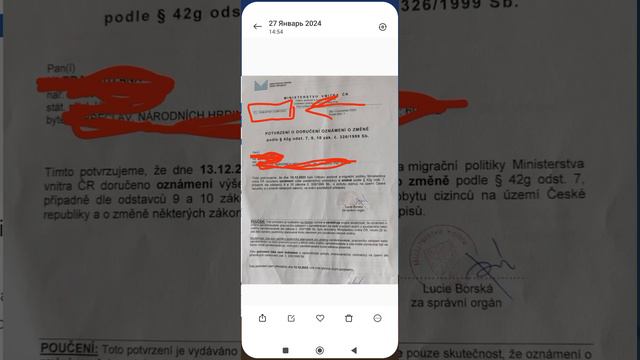 Новости и развлечения для всех