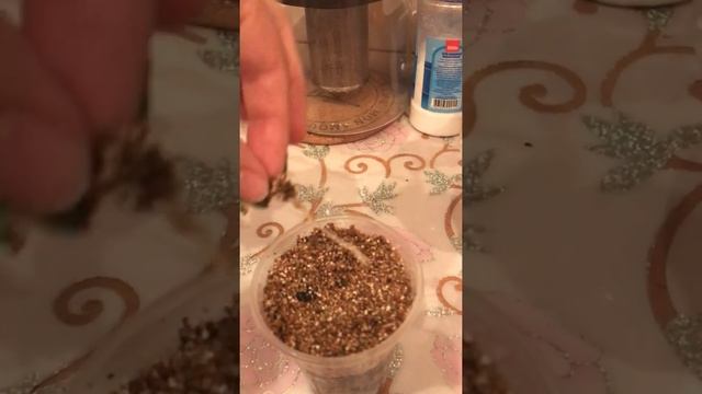 Результат укоренения черенков роз в перлите с вермикулитом. смотреть онлайн