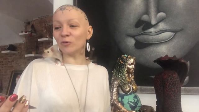 Карты дня 28 мая смотреть онлайн