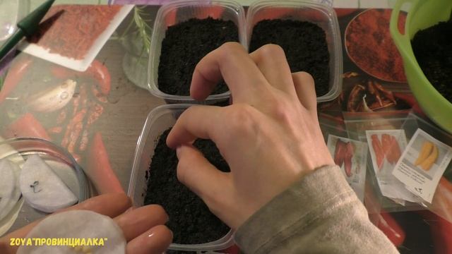 Посев/ Перец РАМИРО- Триколор (желтый, оранжевый, красный)/#peppersramiro# смотреть онлайн