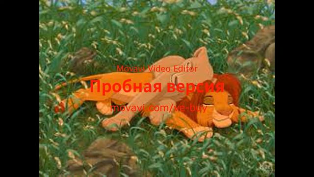 Симба и Нола смотреть онлайн