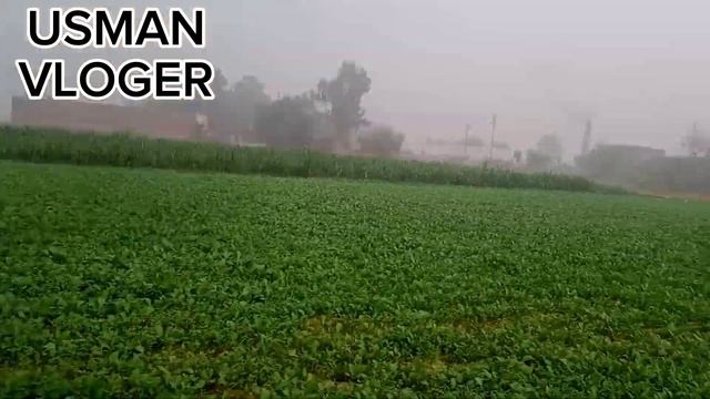 Finely Shadi Ke - Shopping - Complete Ho Gye _Village Life_ Viral смотреть онлайн