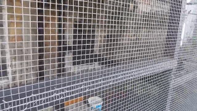 вольер для птиц смотреть онлайн