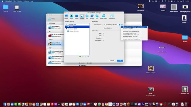 FULL Linux Mint Boot on Oracle VM VirtualBox with Binary Brother 1 смотреть онлайн