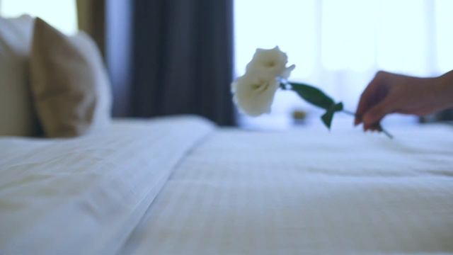 Garden Park Inn Almaty hotel смотреть онлайн