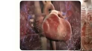 Настрой Сытина.   Читает автор метода Г. Сытин