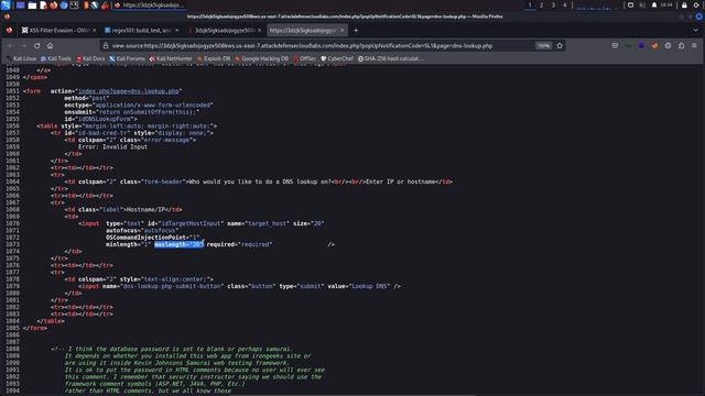 11.9. Bypassing Client-Side Filters смотреть онлайн