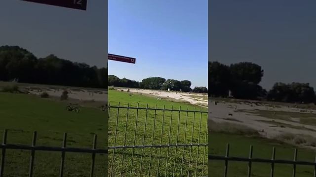 Городок Greifswald Germany ????