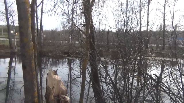 Путешествие по Стране 3 Разъезжаемся смотреть онлайн