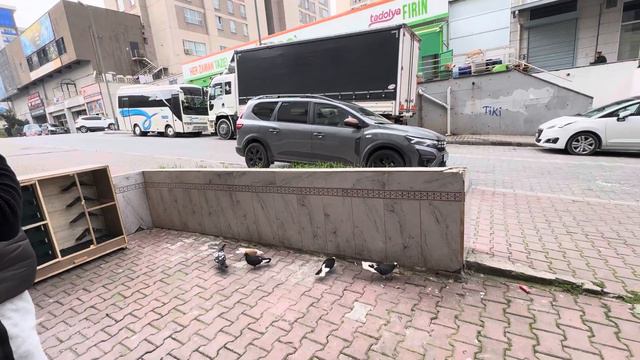 İSTANBUL ESENYURTTA SOKAK ORTASINDA GÜVERCİN UÇURDUK смотреть онлайн