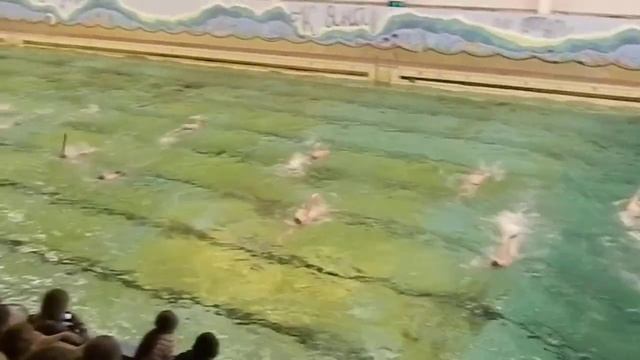 город Орджоникидзе: Елка в бассейне Дельфин #12 смотреть онлайн