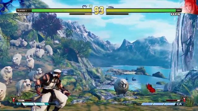 STREET FIGHTER V glitched invisible fighter смотреть онлайн